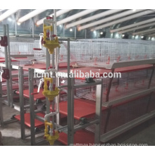 Poultry Application chicken machinery for layer cage